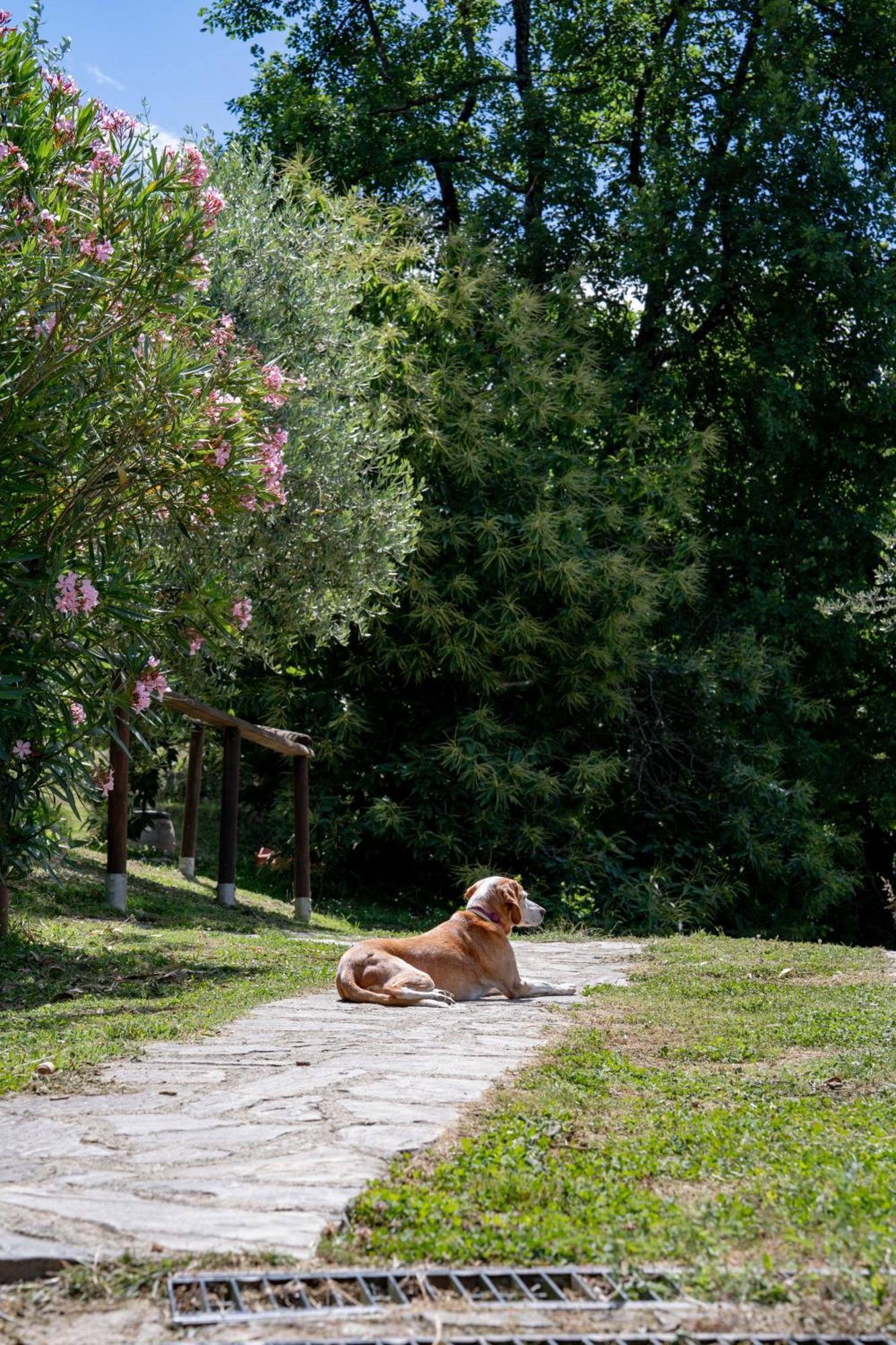 Calice al Cornoviglio Agriturismo I Due Ghiri - Cinque Terre מראה חיצוני תמונה