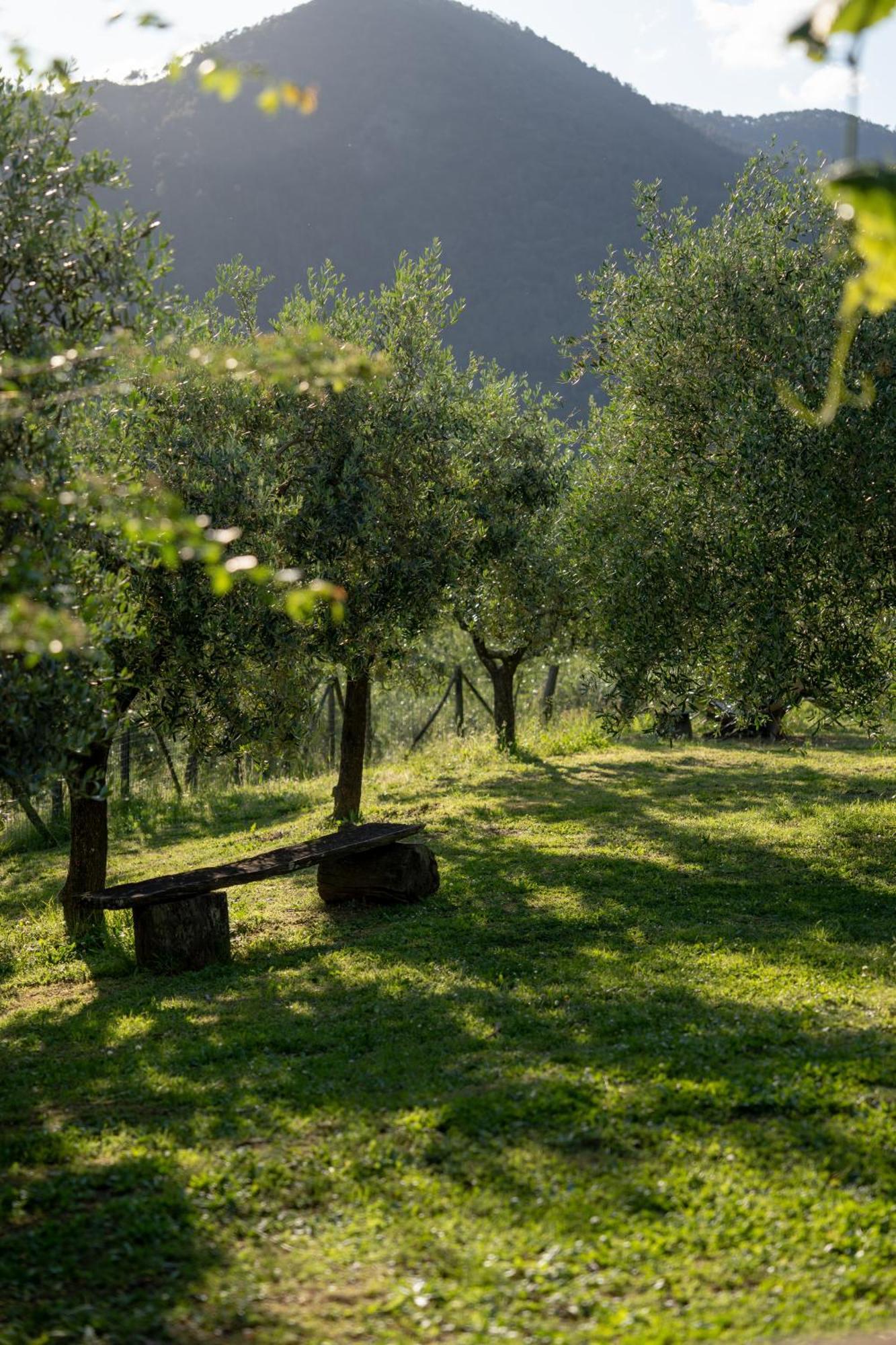 Calice al Cornoviglio Agriturismo I Due Ghiri - Cinque Terre מראה חיצוני תמונה